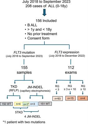 Prevalence of FLT3 gene mutation and its expression in Brazilian pediatric B-ALL patients: clinical implications